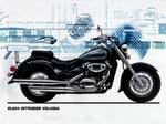 suzuki-intruder